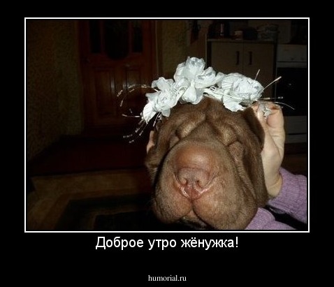 Доброе утро жёнужка!