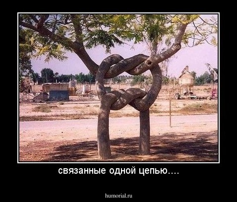 связанные одной цепью....