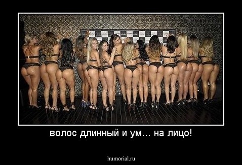 волос длинный и ум... на лицо!