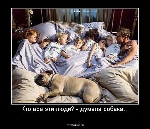 Кто все эти люди? - думала собака...