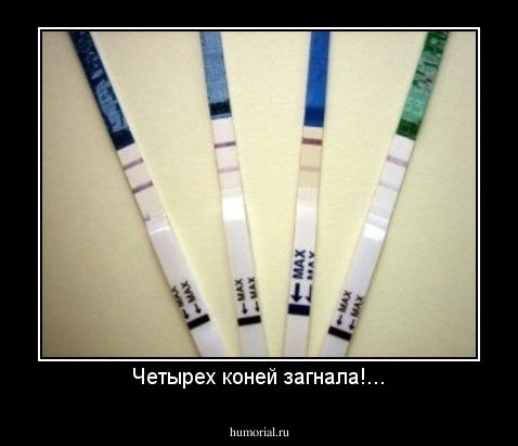 Четырех коней загнала!...