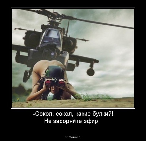 -Сокол, сокол, какие булки?! Не засоряйте эфир!