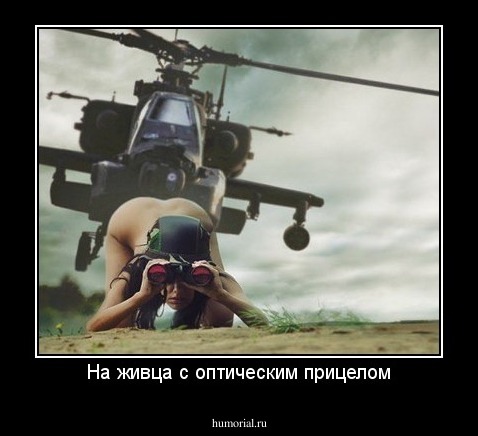 На живца с оптическим прицелом