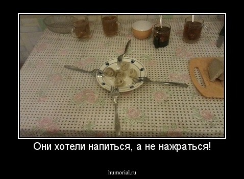 Они хотели напиться, а не нажраться!
