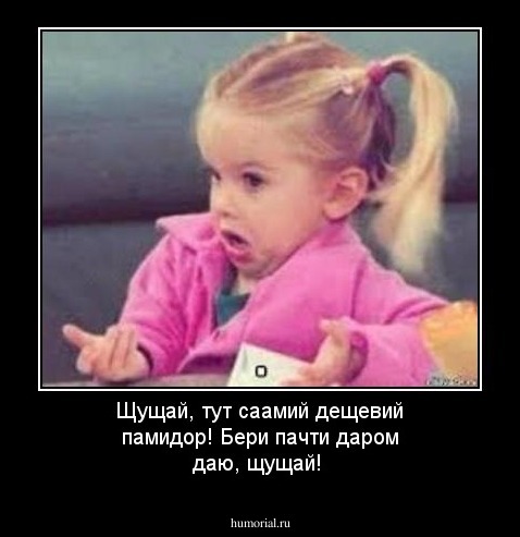 Щущай, тут саамий дещевий памидор! Бери пачти даром даю, щущай!