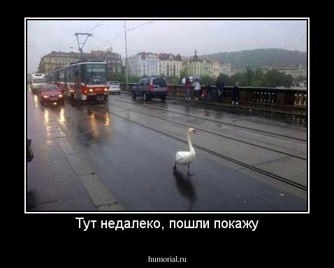 Тут недалеко, пошли покажу