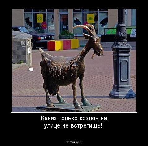 Каких только козлов на улице не встретишь!