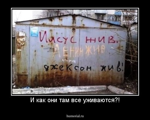 И как они там все уживаются?!