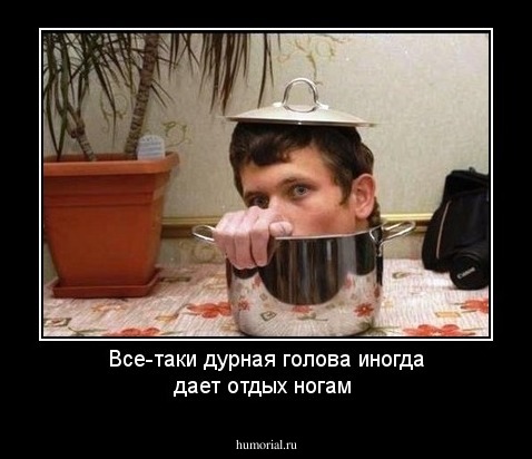 Все-таки дурная голова иногда дает отдых ногам