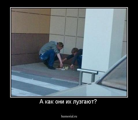 А как они их лузгают? 
