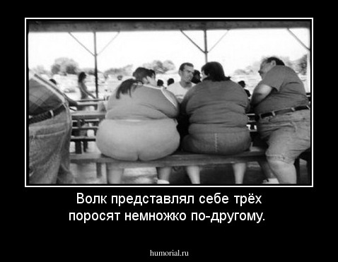 Волк представлял себе трёх поросят немножко по-другому.