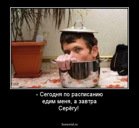 - Сегодня по расписанию едим меня, а завтра Серёгу!