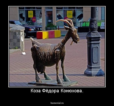 Коза Фёдора Конюхова.