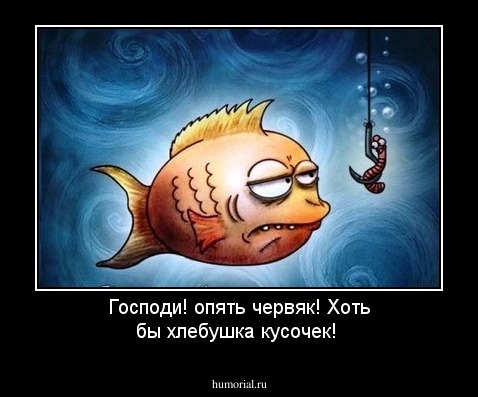 Господи! опять червяк! Хоть бы хлебушка кусочек!