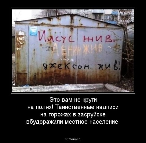 Это вам не круги на полях! Таинственные надписи на горожах в засруйске вбудоражили местное население