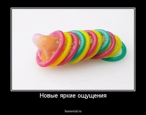 Новые яркие ощущения