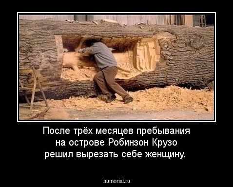 После трёх месяцев пребывания на острове Робинзон Крузо решил вырезать себе женщину.