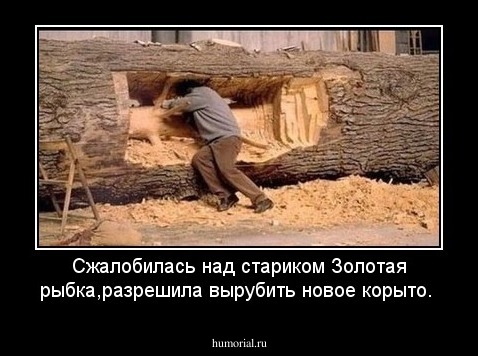 Сжалобилась над стариком Золотая рыбка,разрешила вырубить новое корыто.