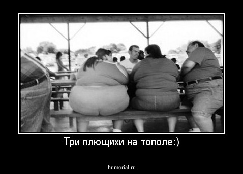 Три плющихи на тополе:)