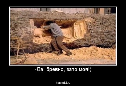 -Да, бревно, зато моя!)