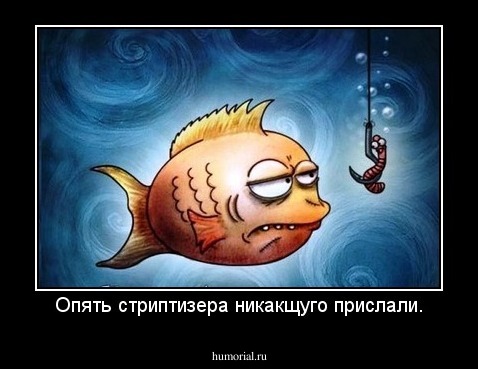 Опять стриптизера никакщуго прислали.
