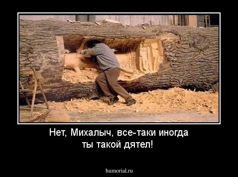 Нет, Михалыч, все-таки иногда ты такой дятел!