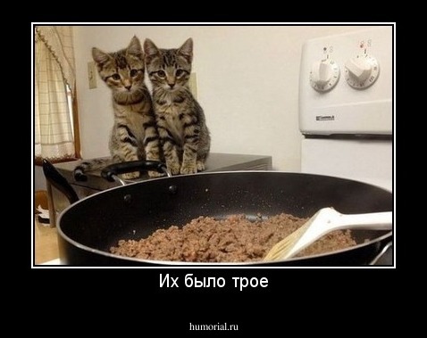 Их было трое