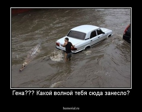 Гена??? Какой волной тебя сюда занесло?