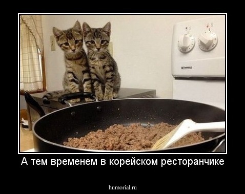 А тем временем в корейском ресторанчике