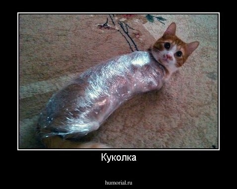 Куколка