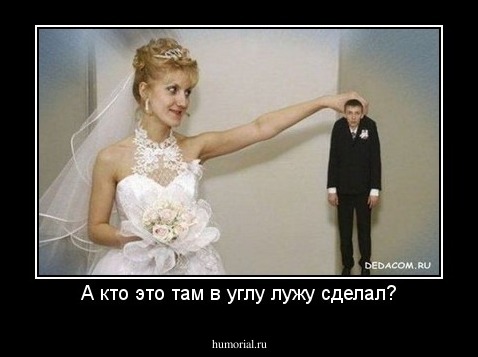 А кто это там в углу лужу сделал?