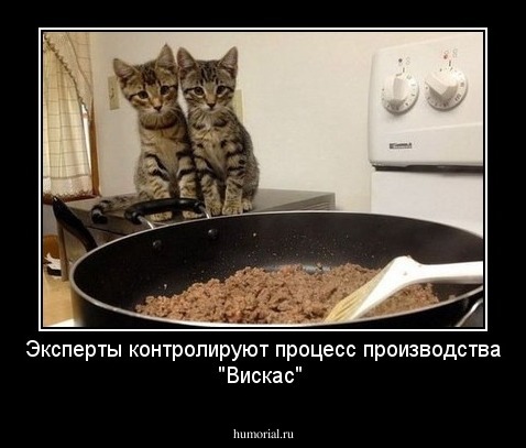 Эксперты контролируют процесс производства "Вискас"