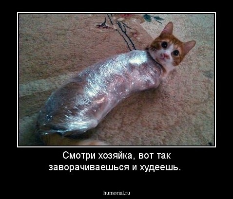 Смотри хозяйка, вот так заворачиваешься и худеешь. 