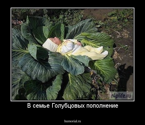 В семье Голубцовых пополнение