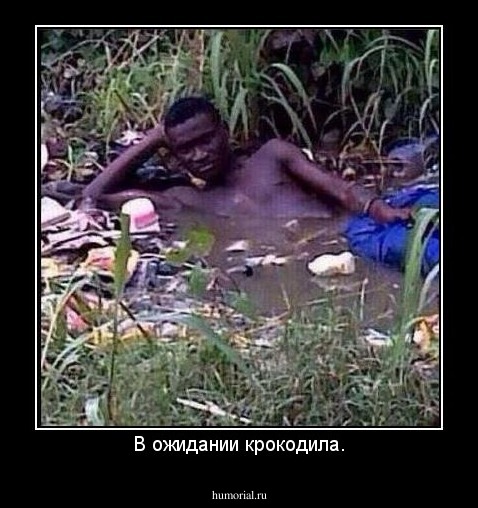 В ожидании крокодила.
