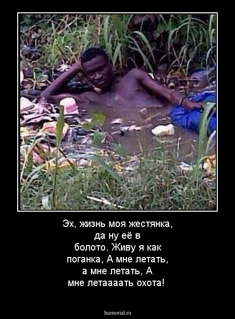 Эх, жизнь моя жестянка, да ну её в болото. Живу я как поганка,
А мне летать, а мне летать, А мне летаааать охота! 
