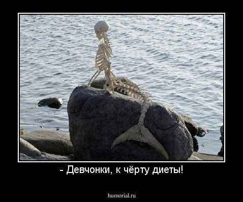 - Девчонки, к чёрту диеты!