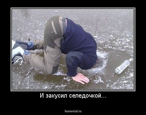 И закусил селедочкой...
