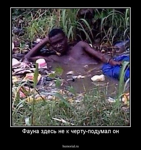 Фауна здесь не к черту-подумал он