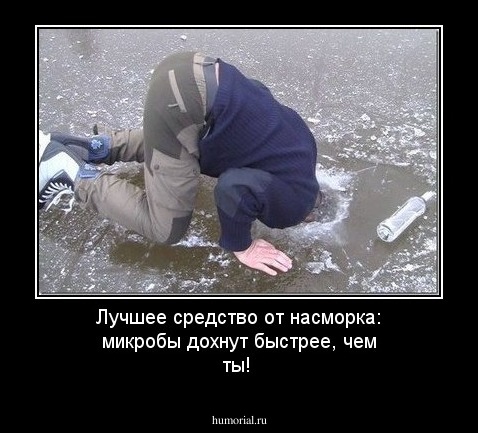 Лучшее средство от насморка: микробы дохнут быстрее, чем ты!