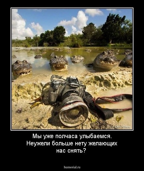 Мы уже полчаса улыбаемся. Неужели больше нету желающих нас снять?