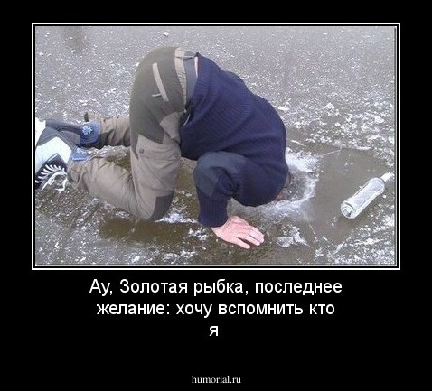 Ау, Золотая рыбка, последнее желание:  хочу вспомнить кто я 