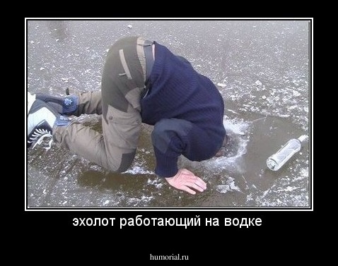 эхолот работающий на водке 