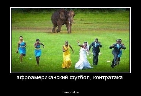афроамериканский футбол, контратака.