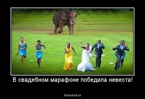 В свадебном марафоне победила невеста!