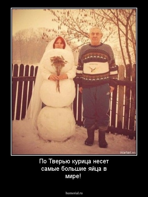 По Тверью курица несет самые большие яйца в мире!