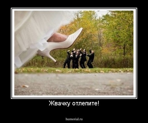Жвачку отлепите!