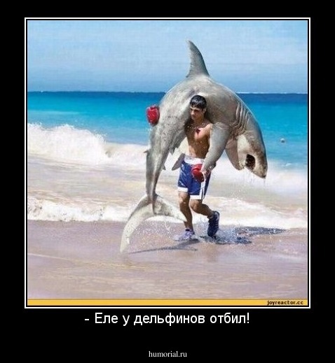 - Еле у дельфинов отбил!