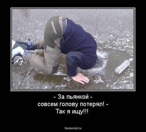 - За пьянкой - совсем голову потерял! - Так я ищу!!!