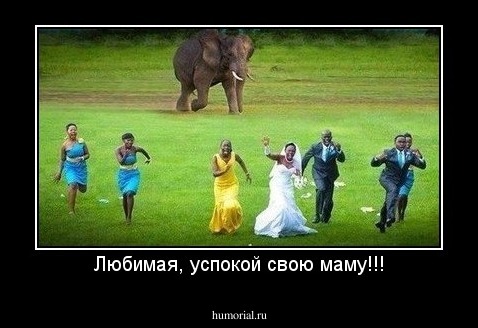 Любимая, успокой свою маму!!!